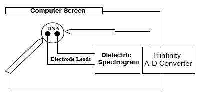 rein_diagram_01